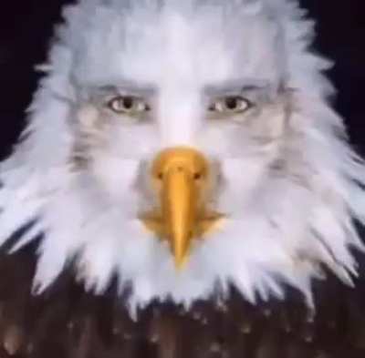 Eu gostaria apenas de destacar que