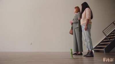 GEICO - Bruce Edition