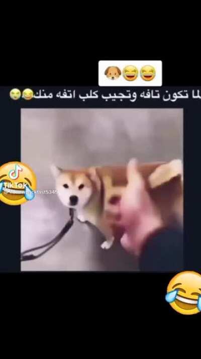 التفاهه رزق الحمدلله😂😂