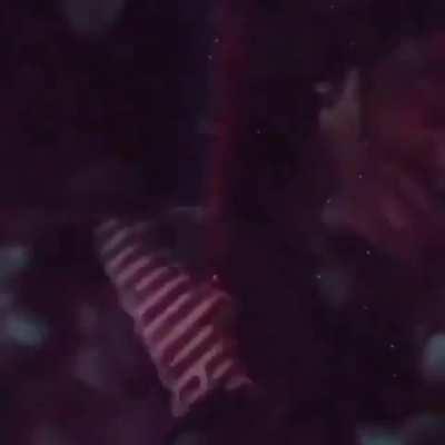 Throwback to that snippet