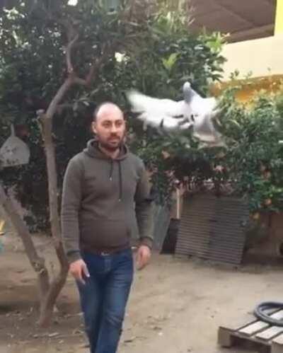 Malfunctioning drone?