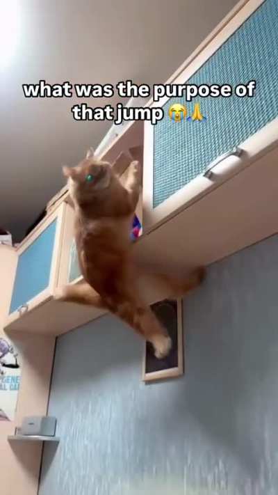 Dhdbxjxuzbbsjs🔥🔥🔥