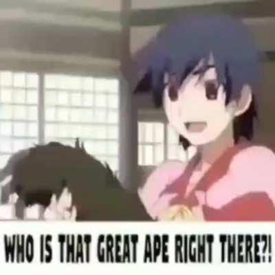 here’s your daily dose of our monke