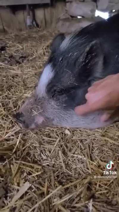 Mornings at the farm house..