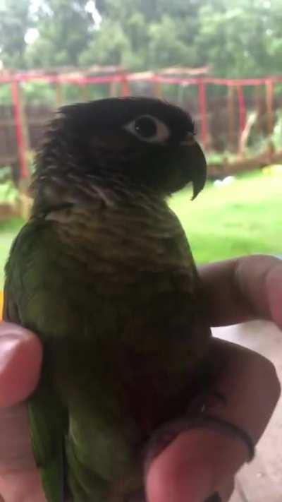 Not an interesting title