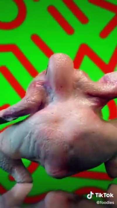 There are no words that can describe this.