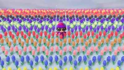 After months of work, my girlfriend and I finally completed our garden, 20 of each colour of each type of flower🥰