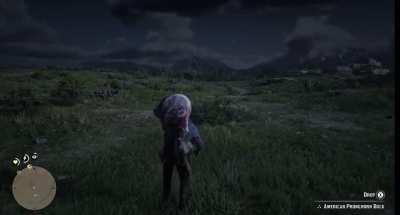 Arthur yells at a raccoon for growling at him??