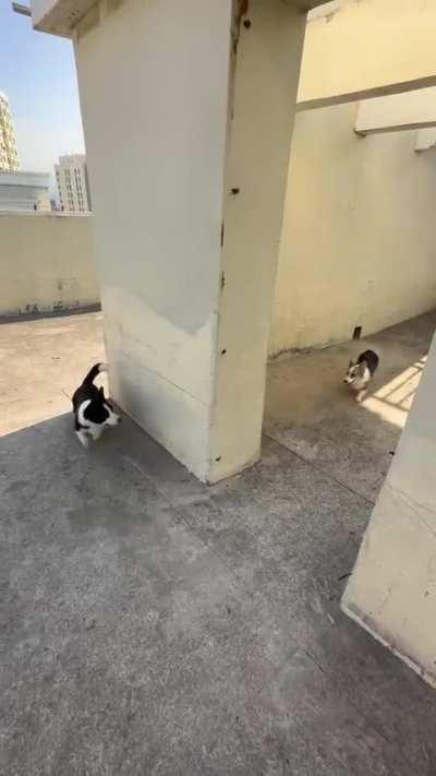 we can do this all day