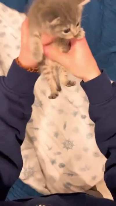 So Cute Dont U Think?