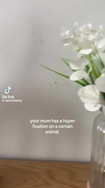 I would never trust someone with that kind of decoration