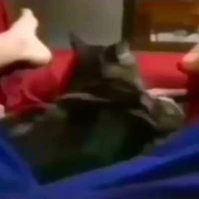 DylanteroYT - Video #7819