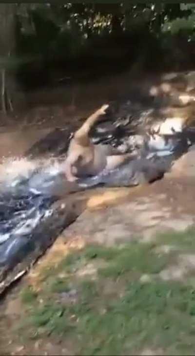 HMF On My Waterslide to Hell…