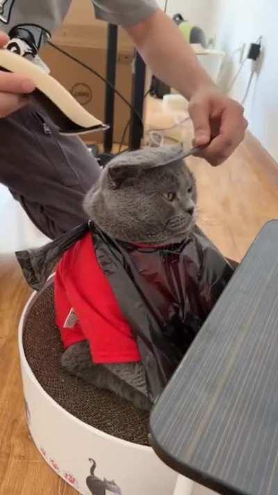 getting prepped up for Friday night