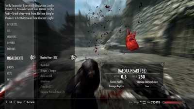 skyrim players when they lose 1hp