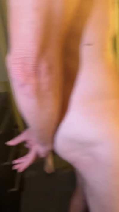 Gangbang girl gets fucked by all of husband classmates