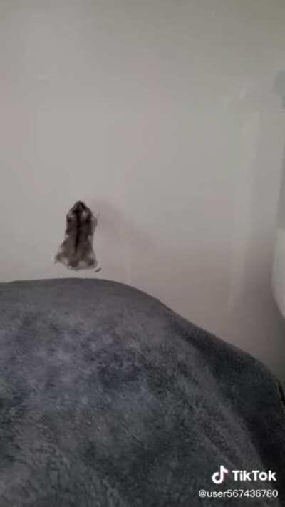 neo and morpheus after jj sleeps