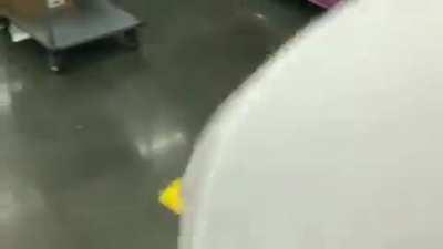 protecting my neighborhood from mainstream media bias!