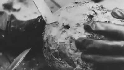 cursed_graveyard (calm, but dead)