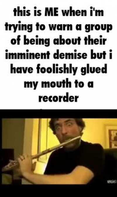 i have foolishly glued my mouth to a recorder