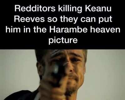 Things redditors do to get them sweet updoots