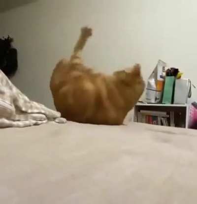 Don't worry mate it can happen to everybody, right?