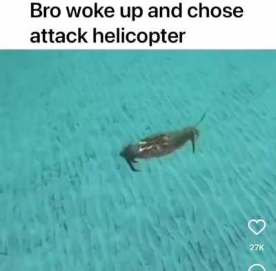 What spinny top playne is this? 