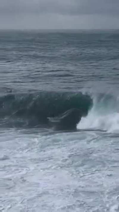 Sydney East Cost swell right now..