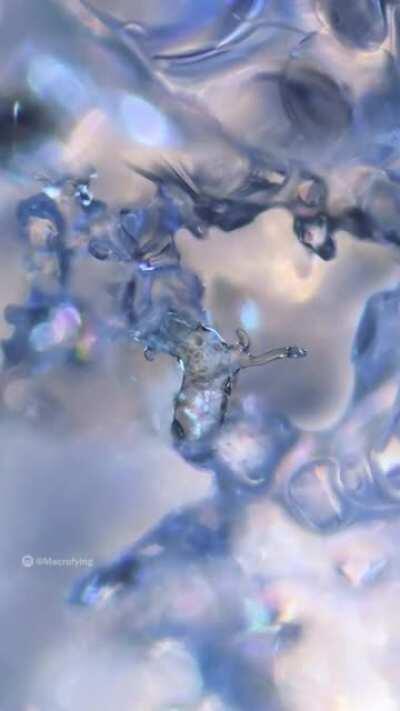 Zooming into a snow ball