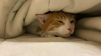 Back into the void he goes