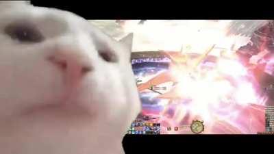 When Wormhole formation kicks in