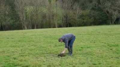 WCGW Cow poop and a firework