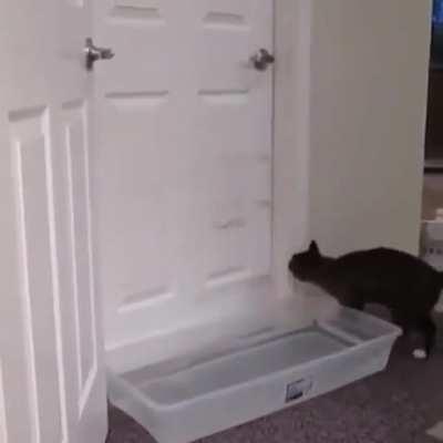 Hitcat breaks into the target's panic room