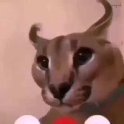 Happy Friday only good vibes fo today