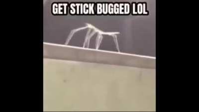 The most confusing rick roll I made