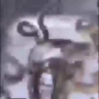 can't tell if that's salt but lel