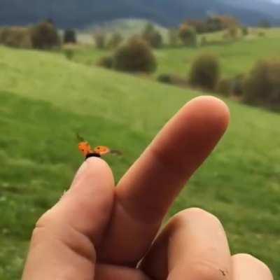 WhatCouldGoRight. Cleared For Takeoff.