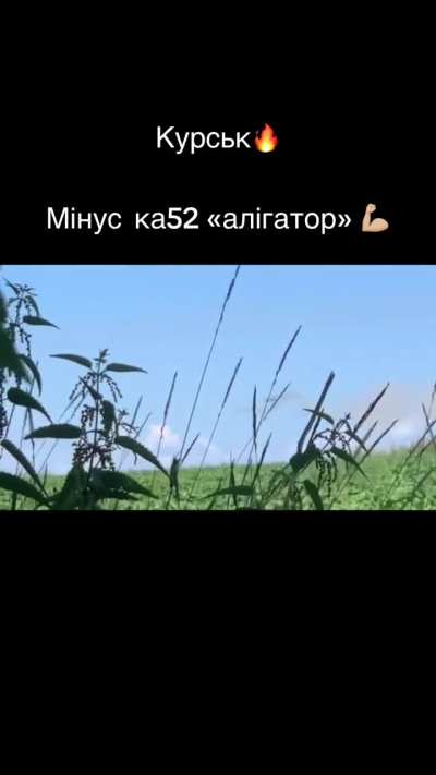 Ukrainians shoot down KA-52 with MANPADS