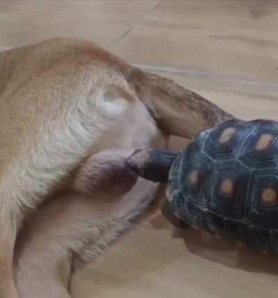 Let&rsquo;s just see how this goes&hellip;