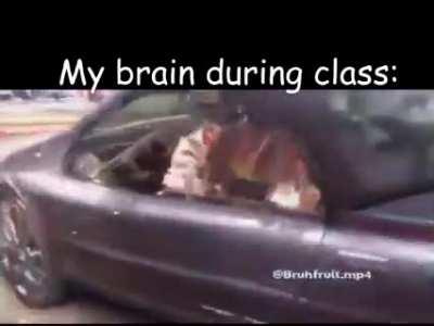 This is basically what I think goes on in yubs head sometimes