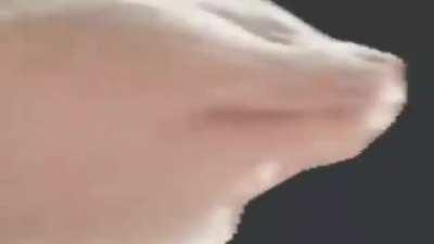 >when youve managed to become the most wanted criminal on the CIA watch list