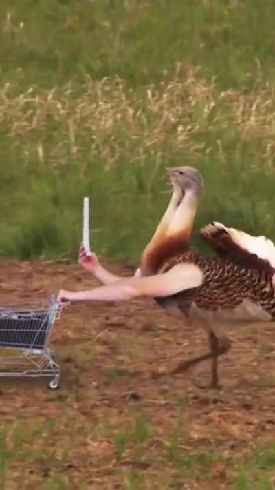 If only birds had hands.😄