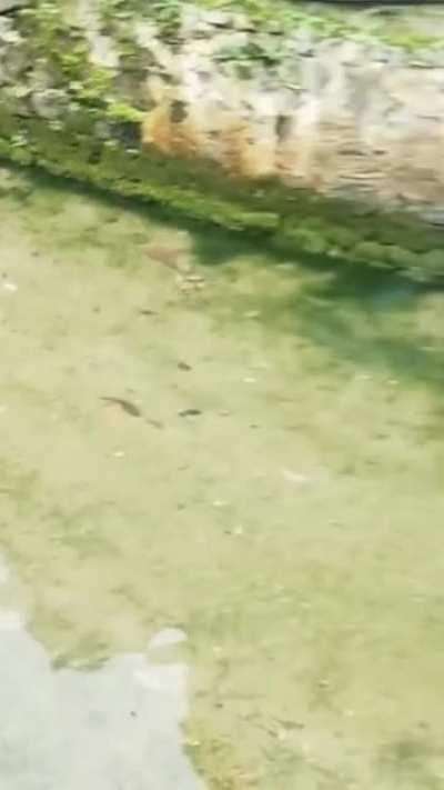 Mr. Stark, I don't feel so good...