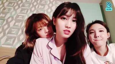 Momo's Moans