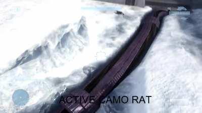 Rat Slayer has been released