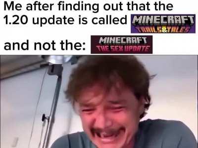 Thoughts on the 1.20's update name?