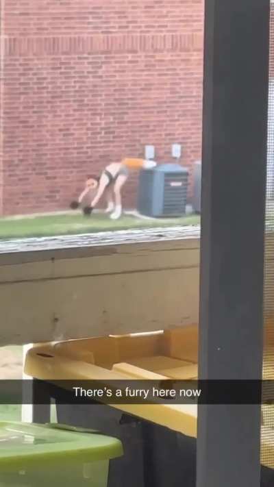 Losercity citizen sighting 