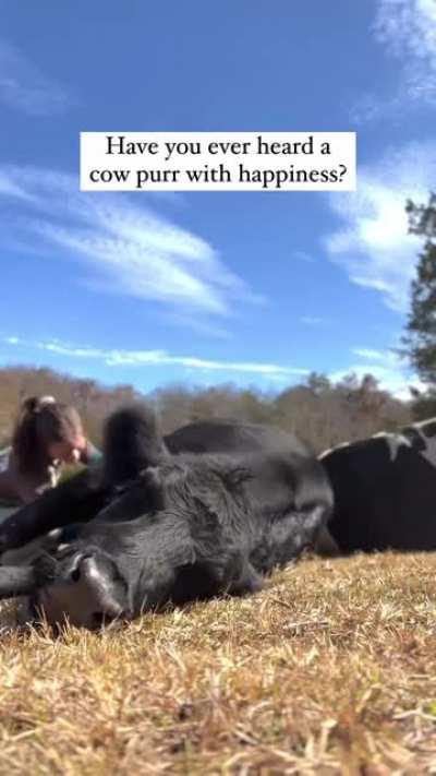 Sound up for Destiny’s happy belly rub noises 🔈 (@ The Gentle Barn)