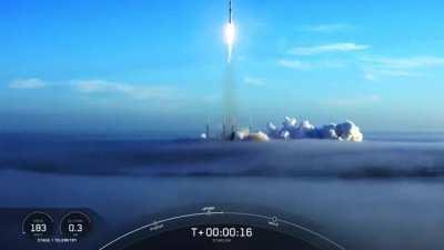 SpaceX успешно вывела на орбиту очередные 53 спутника Starlink. Это был 9-й полет первой ступени Falcon 9 B1058 и 25-й запуск компании в 2021 году. И самый красивый, конечно. Как в фантастическом фильме.
