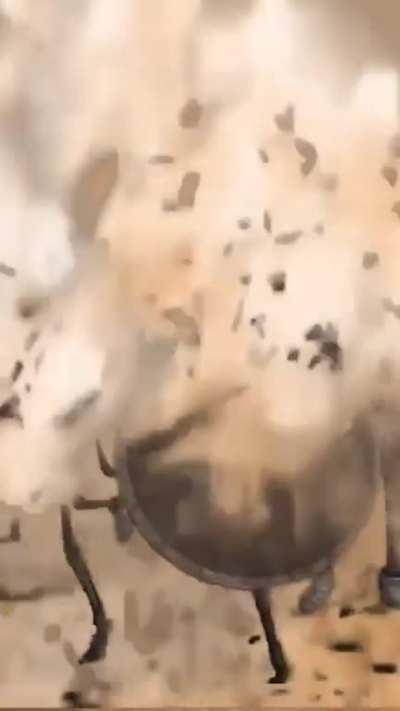 Scottie Barnes has been cast in ‘Mission : Impossible 8 - Dead Reckoning Part Two’ as Ethan Hunt Jr., Tom Cruise’s cooler son who does crazier stunts and runs better. Teaser trailer👇  